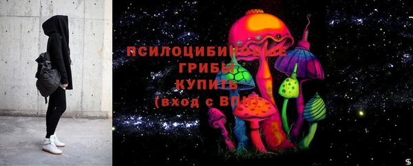 дурь Алзамай