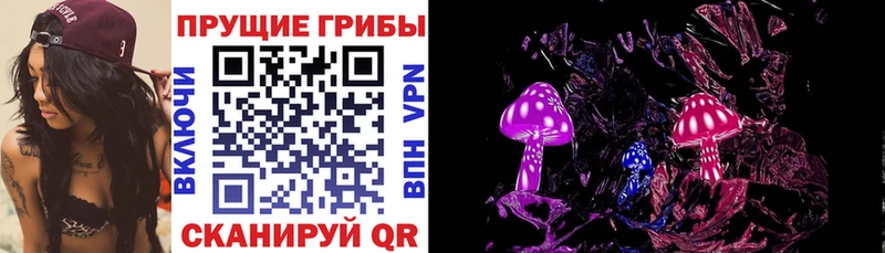 darknet какой сайт  Лебедянь  Псилоцибиновые грибы прущие грибы  даркнет сайт 